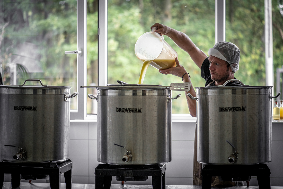Gember en spijsvertering: wat doet het voor je darmen?